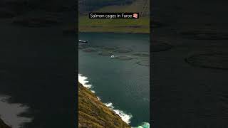 Salmon cage in the FaroeIslands djimavicair2 drone nordictravel faroe [upl. by Ynnaej]