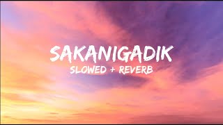 Sakanigadik slowed  reverb lyrics [upl. by Anivlac]