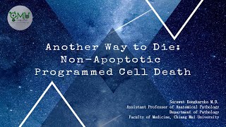 Another Way to Die NonApoptotic Programmed Cell Death [upl. by Ataymik393]