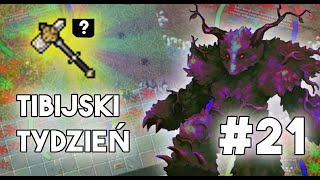 PL Tibia  Tibijski Tydzień  Rapid Respawn Event 21 [upl. by Ejrog149]