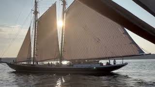 Schooner Columbia sails by Ardelle at Sunset [upl. by Mateya]