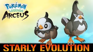 Pokemon Legends Arceus Starly Evolution into Staravia [upl. by Neenad]