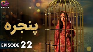 Pakistani Drama  Pinjra  Episode 22  Aplus Gold  Yumna Zaidi Nauman Aijaz  CZ1O [upl. by Cahn622]