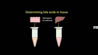 Isotope Day 2022Mass Spectrometry with Amy Engevik PhD [upl. by Ydolem]