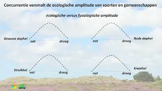 De vegetatie als meetinstrument [upl. by Vonnie]