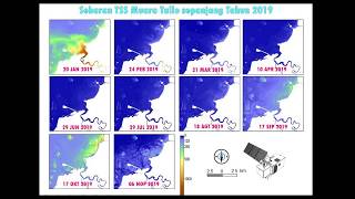 Monitoring Sedimen Tersuspensi TSS di Muara Sungai Menggunakan Citra Sentinel 2 [upl. by Adnorrehs355]