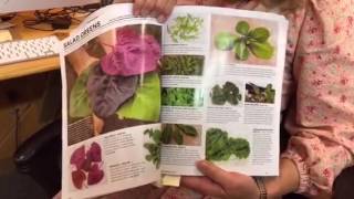 Whats in the Whole Seed catalog this year [upl. by Riva734]