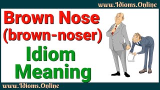 Brown Nose Idiom Meaning  English Color Idioms [upl. by Rayner]