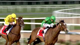 Super Saturday Meydan Racecourse 050316 Race 5 Group 2 Dubai City of Gold  Emirates SkyCargo [upl. by Liebowitz]