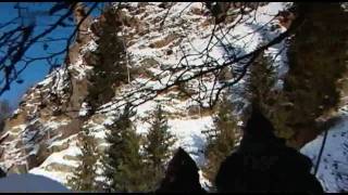 König der Alpen  Der Steinbock in Tirol 22 [upl. by Cavanaugh]