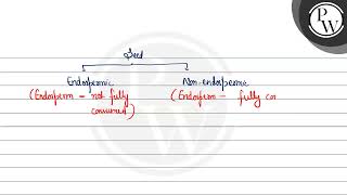 Read the following statements and find out the incorrect statement about dicotyledonous seed [upl. by Zorina]