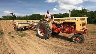 JI Case 730 Corn Planting [upl. by Anehsak289]