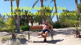 Marsa Alam  opis hotelu Blue Reef [upl. by Nnylarac]