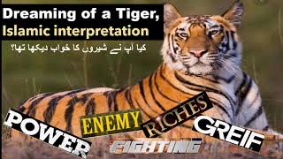 Tiger Dream  Symbolism and Secret Meaning [upl. by Siramad]