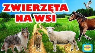 Zwierzęta na wsi  Nauka zwierząt dla dzieci po polsku  Odgłosy zwierząt  Farma [upl. by Giffard]