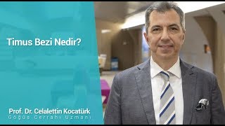 Timus Bezi Uykuluk Bezi Nedir  Prof Dr Celalettin Kocatürk [upl. by Attenal]