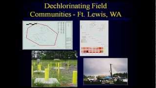 A Systems Approach to Bioremediation [upl. by Benilda285]