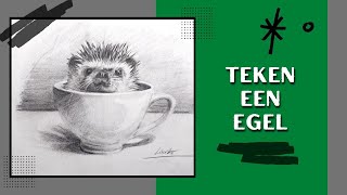 Hoe teken je een egel met houtskool  dieren tekenen [upl. by Lizbeth]