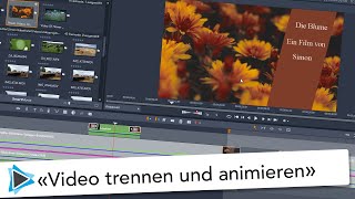 Video schräg abschneiden und animieren Pinnacle Studio Video Tutorial Deutsch [upl. by Kronfeld]