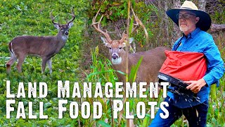 How to Manage Fall Food Plots for Deer  Land Management Part 5 823 [upl. by Annahtur]