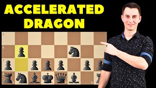 Sicilian Defense Accelerated Dragon  Chess Opening Crash Course [upl. by Bathelda]