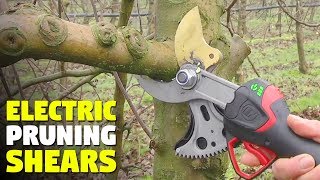 These electric shears can cut almost anything [upl. by Animsay]