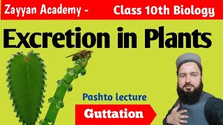 Excretion in plants  Ch11 Homeostasis  Class 10 Biology [upl. by Idnyc951]