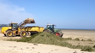 La ramasseuse dalgues vertes en mer [upl. by Acyssej]