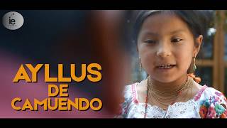 Ayllus de Camuendo  Chayshuk Warmi Trailer Oficial [upl. by Llenrup]