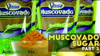 How to extract sugar cane  Muscovado sugar Part 2 Agriculture [upl. by Obala260]