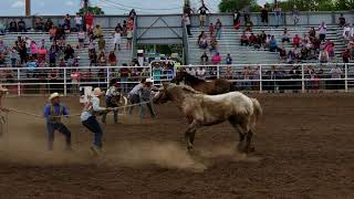 Wild horse racing 2018 wheeler rodeo finals [upl. by Anahsahs]