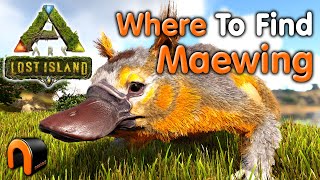 ARK Lost Island MAEWING Spawn Locations ARK [upl. by Layman]