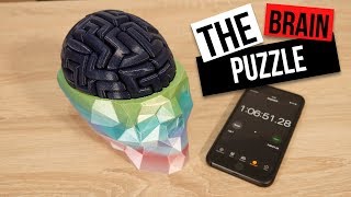 EPIC 3D Printed Brain Puzzle [upl. by Sarat]