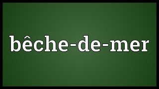 Bêchedemer Meaning [upl. by Natalee]