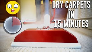 How To Dry Carpets In 15 Minutes After Cleaning [upl. by Ileane591]