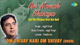 Om Shivay Hari Om Shivay Dhun  Hindi Devotional Song  Jagjit Singh  Superhit Shiv Bhajan [upl. by Eellac]