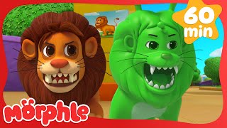 Real Lion Green Lion 🦁  My Magic Pet Morphle  Morphle 3D  Full Episodes  Cartoons for Kids [upl. by Brit78]