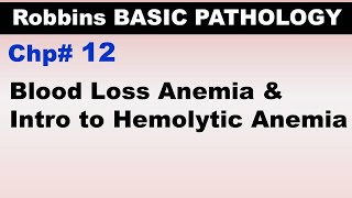 Ch12  Blood Loss Anemia amp Introduction to Hemolytic Anemia  Blood Pathology  Dr Asif Lectures [upl. by Sisely]