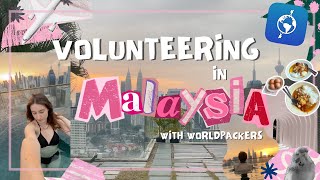 Spend the day with me while volunteering with world packers in KL city Malaysia  What do I do [upl. by Seften]