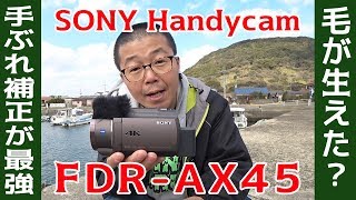 毛が生えた？ SONY Handycam FDRAX45 はやっぱり空間光学手ブレ補正が魅力的だけど…レビューしてたら帰りの船に乗り遅れそうな感じ [upl. by Bathesda649]