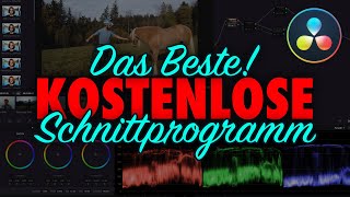 Das BESTE KOSTENLOSE SCHNITTPROGRAMM 2020  DaVinci Resolve [upl. by Erick]