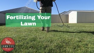 How To Fertilise Your Lawn  Apply Liquid Fertilizer [upl. by Ettenej]