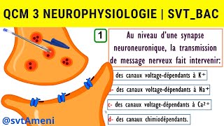 SVT Bac Neurophysiologie Synapse excitatrice et synapse inhibitrice  QCM 3 [upl. by Ennis341]