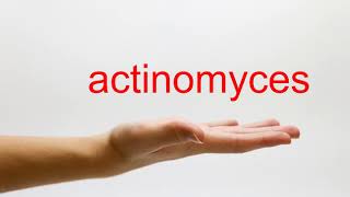 How to Pronounce actinomyces  American English [upl. by Vastah441]