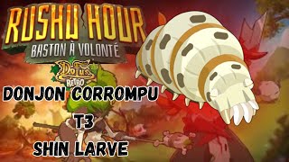 DONJON CORROMPU T3  SHIN LARVE dofus retro temporis 3 [upl. by Arihsaj]