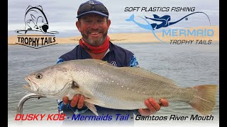 Dusky Kob on Gamtoos with Mermaids Tail Plastics [upl. by Lokim846]