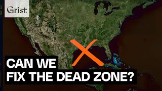 The Gulf of Mexicos dead zone explained [upl. by Enrique]