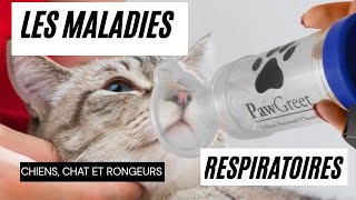 Les maladies respiratoires chez les chiens les chats et les rongeurs [upl. by Lebatsirc]