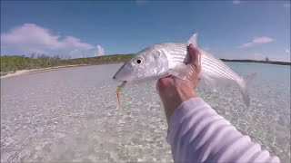 Bonefishing Staniel Cay [upl. by Liuqnoj]