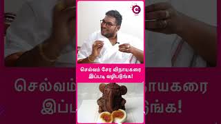 How to worship Ganesha for success  astrologer sathyaseelan shorts shortsvideo [upl. by Nailliw]